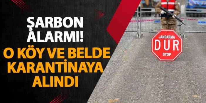 Bitlis’te şarbon alarmı! O köy ve belde karantinaya alındı