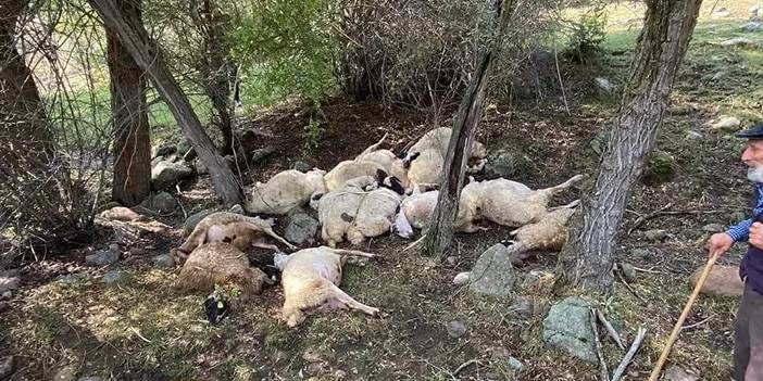 Çankırı ve Muğla'da sürülerin üzerine yıldırım düştü!