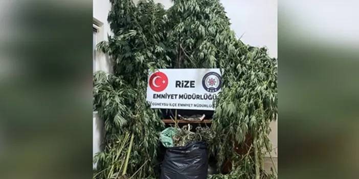 Rize'de operasyon! 6 kişi gözaltında