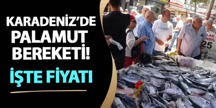 Samsun'da palamut kapış kapış satıldı! İşte fiyatı