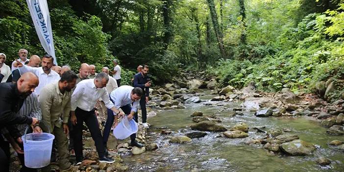 Kocaeli Büyükşehir Belediyesi toplamda 50 bin balığı deniz ve akarsulara bıraktı!