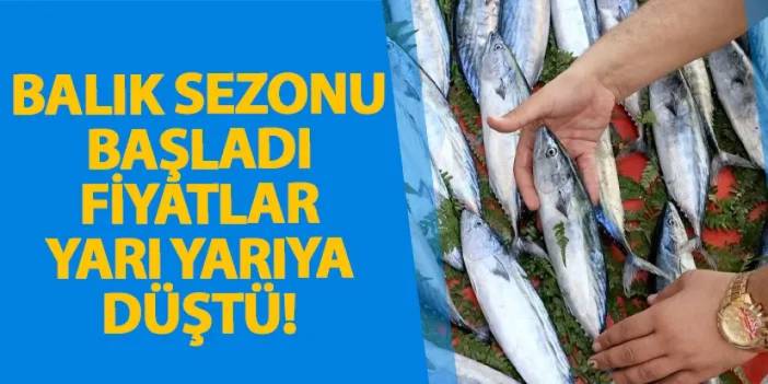 Balık sezonu başladı fiyatlar yarı yarıya düştü!