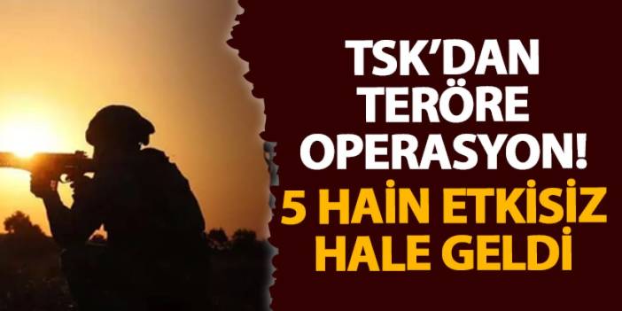 TSK’dan teröre operasyon! 5 hain etkisiz hale geldi