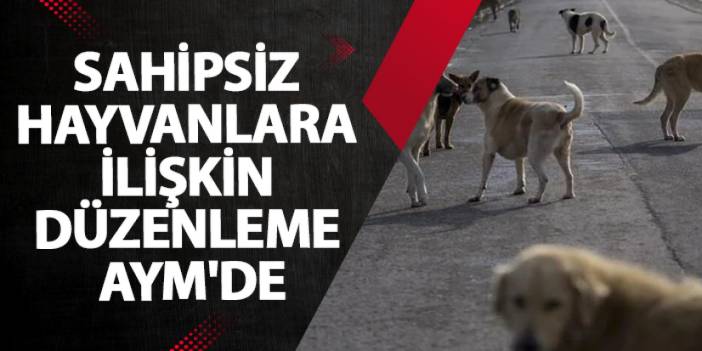 Sahipsiz hayvanlara ilişkin düzenleme AYM'de