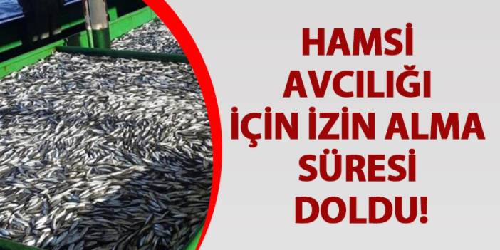 Hamsi avcılığı için izin alma süresi bugün doldu!