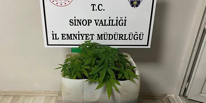 Sinop'ta uyuşturucuyla mücadele operasyonu! 3 kişi yakalandı