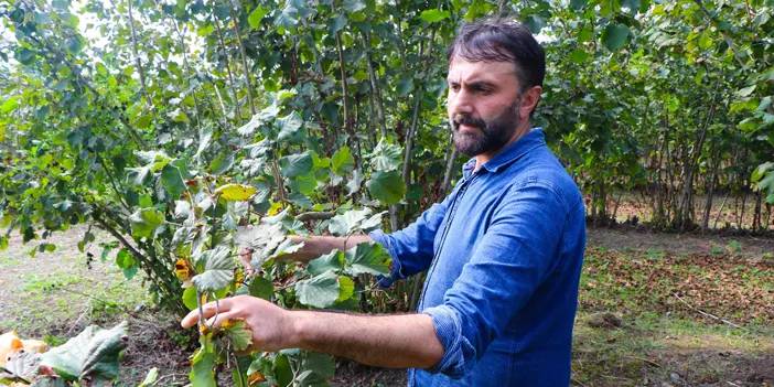 Samsun'da kokarca zararlısı şarkıda da yer aldı!