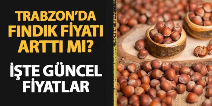 Trabzon'da güncel fındık fiyatı! Yağlı, sivri, levant kalite, TMO, Ferrero: 11 Eylül Çarşamba 2024