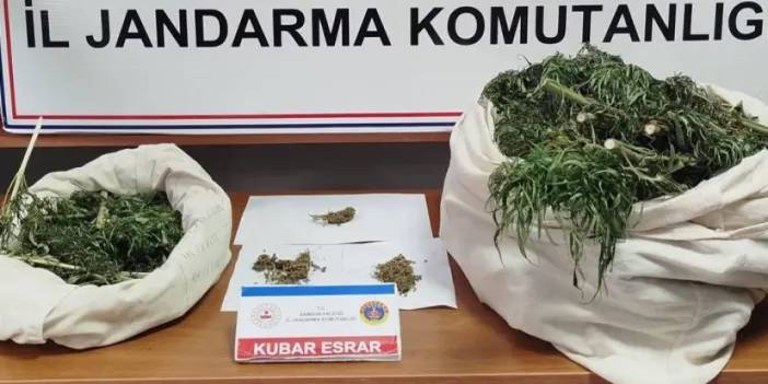 Samsun’da jandarmadan operasyon! 10 kilo esrar yakalandı