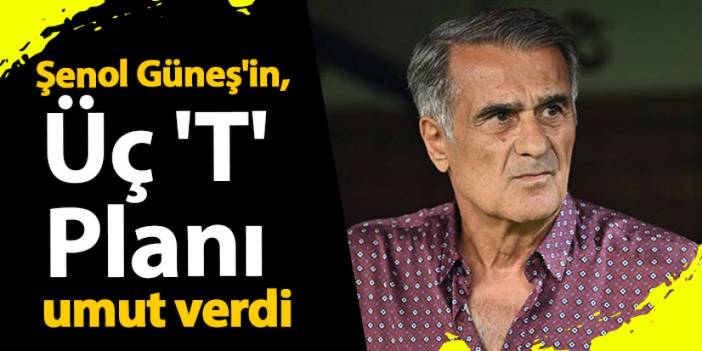 Şenol Güneş'in, Üç 'T' Planı umut verdi