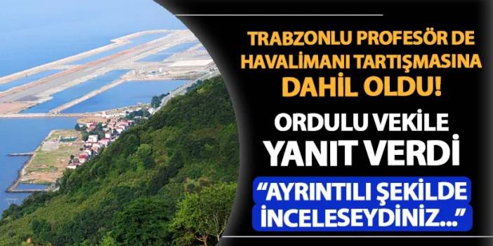 Trabzonlu profesör de tartışmaya dahil oldu! Ordulu vekile havalimanı yanıtı: "Ayrıntılı incelemiş olsaydınız..."