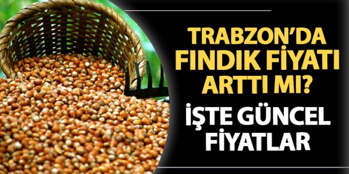 Trabzon'da fındık kaç lira? Fiyatlar arttı mı?