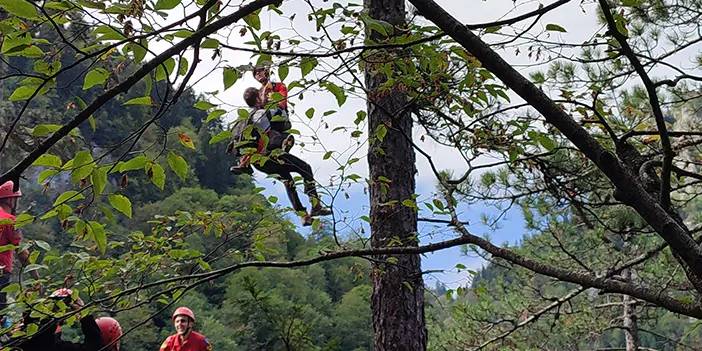 Kastamonu'da uçurumun dibinde mahsur kaldı! Helikopter imdadına yetişti