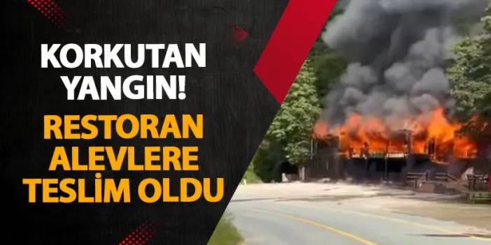 Artvin’de korkutan yangın! Restoran alevlere teslim oldu