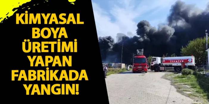 Tekirdağ'da kimyasal boya üretimi yapan fabrikada yangın!