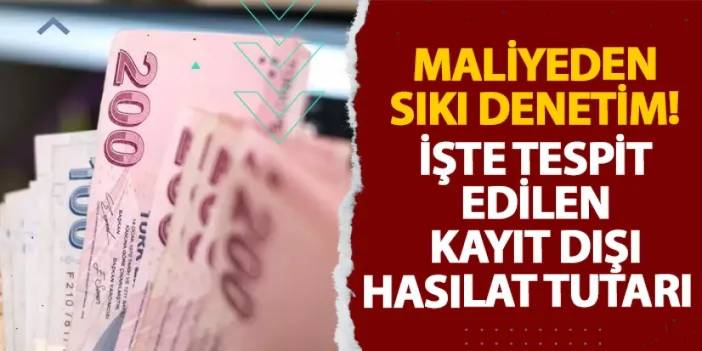 Maliyeden sıkı denetim! İşte tespit edilen kayıt dışı hasılat tutarı