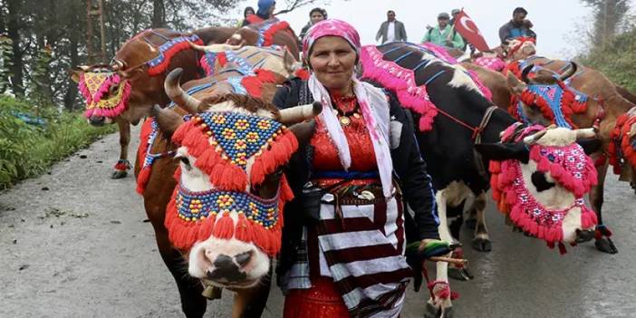 Trabzon'da besicilerin 4 aylık yayla macerası sona eriyor!