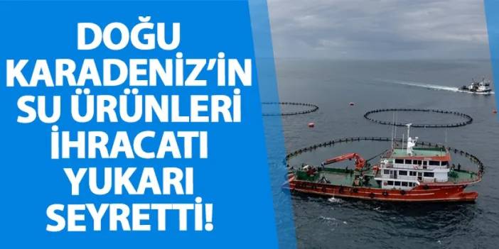 Doğu Karadeniz’in su ürünleri ihracatı yukarı seyretti!