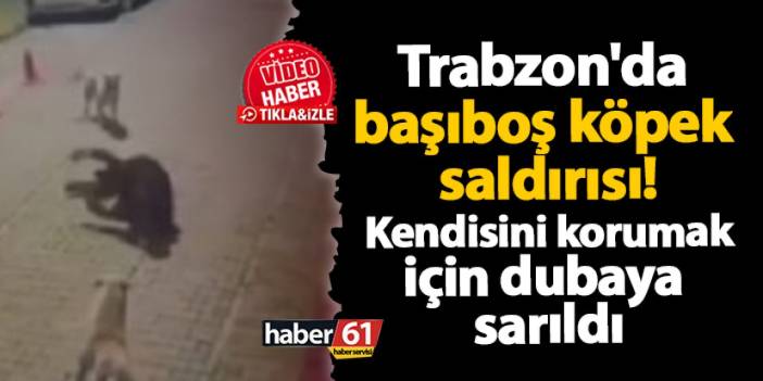 Trabzon'da başıboş köpek saldırısı! Kendisini korumak için dubaya sarıldı