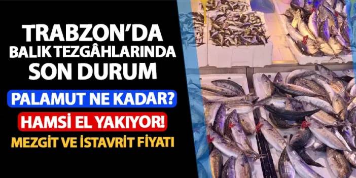 Trabzon'da palamut fiyatı ne kadar? Hamsi el yakıyor! İstavrit ve mezgit fiyatlarında son durum