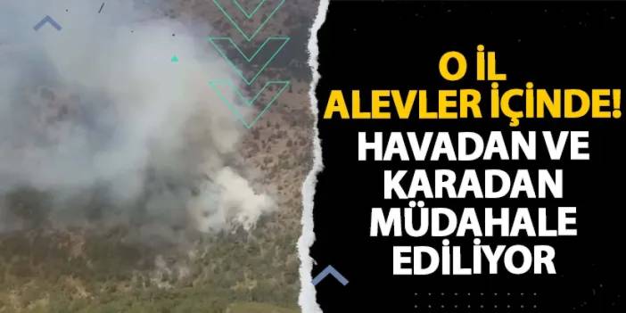 İzmir alevler içinde! Havadan ve karadan müdahale ediliyor