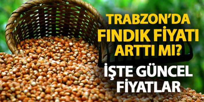 Trabzon'da fındık fiyatları arttı mı? İşte güncel fındık fiyatı