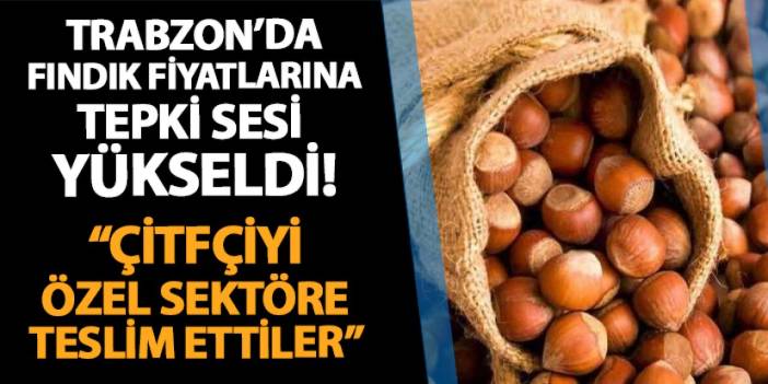 Trabzon'da fındık fiyatlarına tepki yükseldi! "Çiftçiyi özel sektöre teslim ettiler"