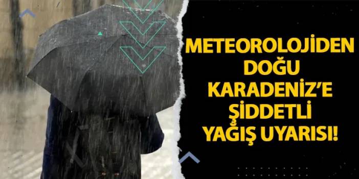 Meteorolojiden Doğu Karadeniz'e şiddetli yağış uyarısı!