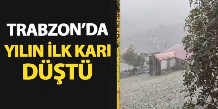 Trabzon'da yılın ilk karı düştü