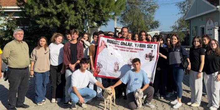 Samsun'da barınaktan okula sevimli dost