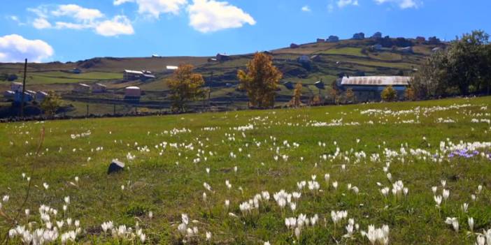 Trabzon'da Ağaçbaşı Turbalığı ile çevresinde sonbahar ahengi