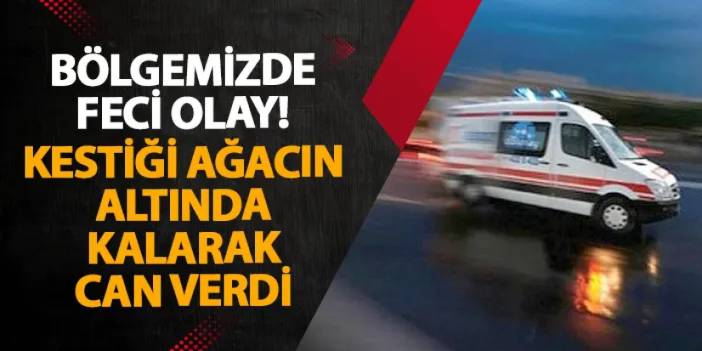 Ordu’da feci olay! Kestiği ağacın altında kalarak can verdi