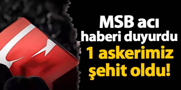 MSB acı haberi duyurdu! Pençe-Kilit bölgesinde 1 askerimiz şehit oldu