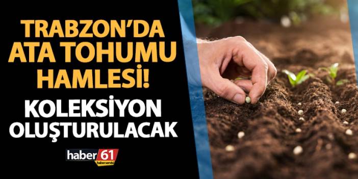 Trabzon'da ata tohumu hamlesi! ‘Doğu Karadeniz Bölgesi Yerel Tohum Koleksiyonu’ oluşturulacak