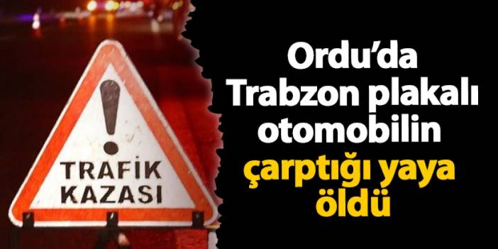 Ordu'da Trabzon plakalı otomobilin çarptığı yaya öldü