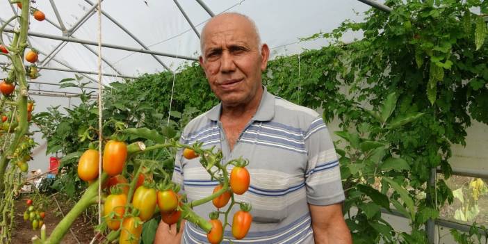 Giresun'da örnek tarım projesi