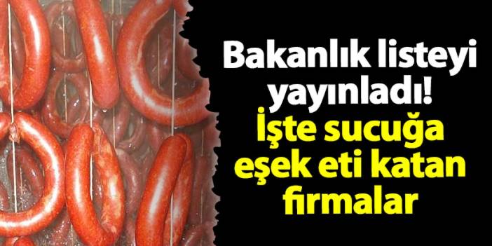 Bakanlık listeyi yayınladı! İşte sucuğa eşek eti katan firmalar