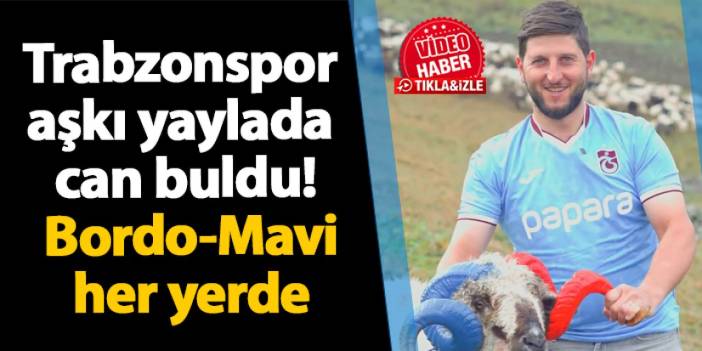 Trabzonspor aşkı yaylada can buldu! Bordo-Mavi her yerde