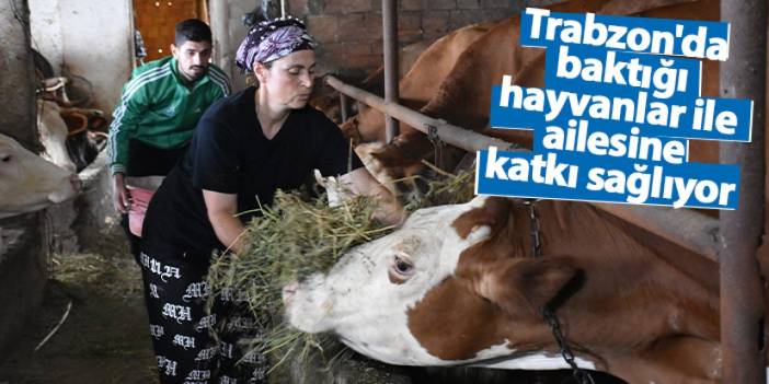 Trabzon'da baktığı hayvanlar ile ailesine katkı sağlıyor