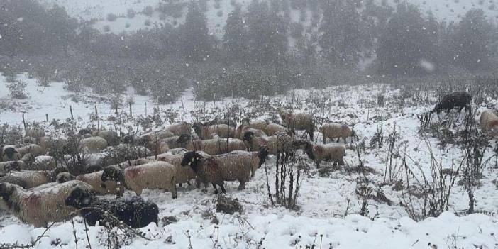 Ordu'nun yaylaları beyaza büründü! Kar kalınlığı 10 santimetreyi buldu