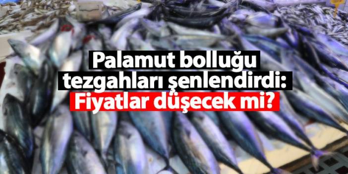 Karadeniz'de palamut bolluğu tezgahları şenlendirdi: Fiyatlar düşecek mi?