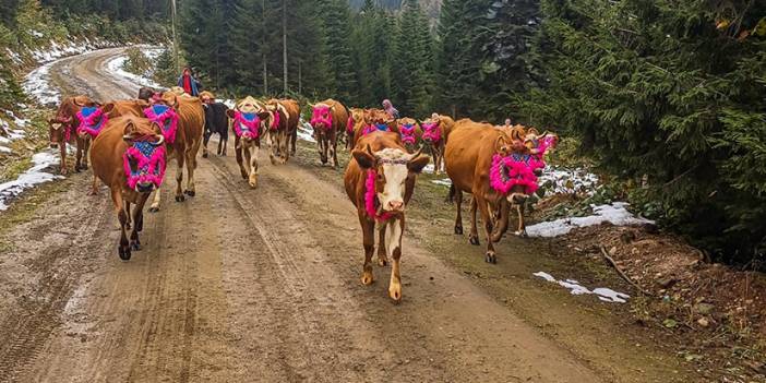 Trabzon'da Seloba Yaylası'nda dönüş yolculuğu başladı