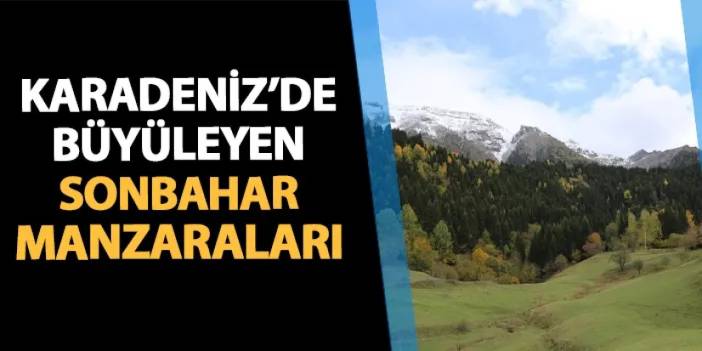 Artvin'de sonbahar kareleri büyülüyor