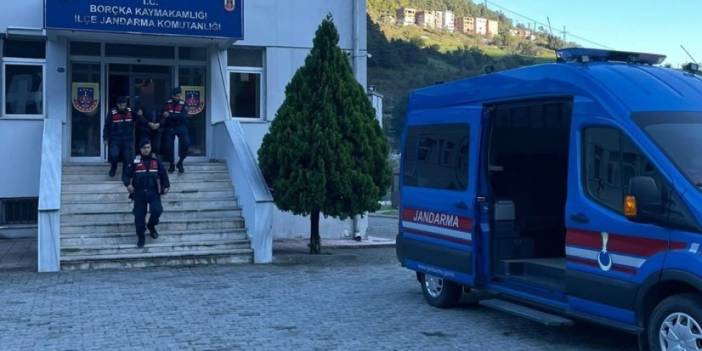 Artvin'de izinsiz orman kesimi! Kooperatifi Başkanı gözaltına alındı