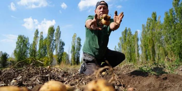 Bayburt’ta patates rekoltesi çiftçiye türkü söyletti