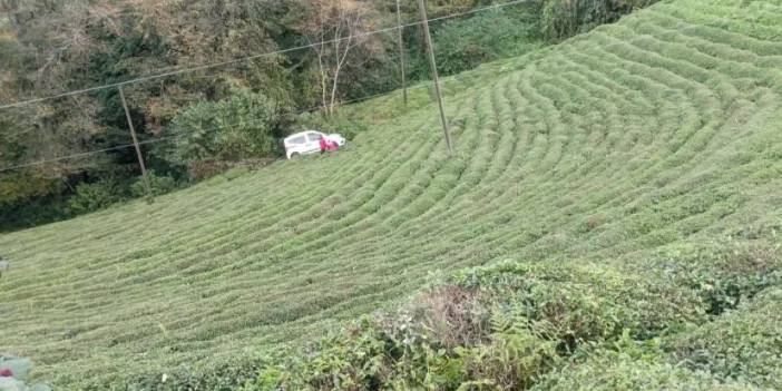 Rize’de araç çay bahçesine yuvarlandı!