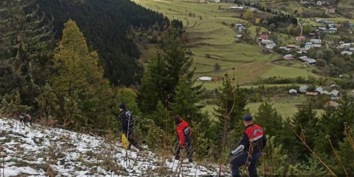 Artvin'de kaybolan işci 10 gündür aranıyor!