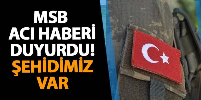 MSB acı haberi duyurdu! Şehidimiz var!