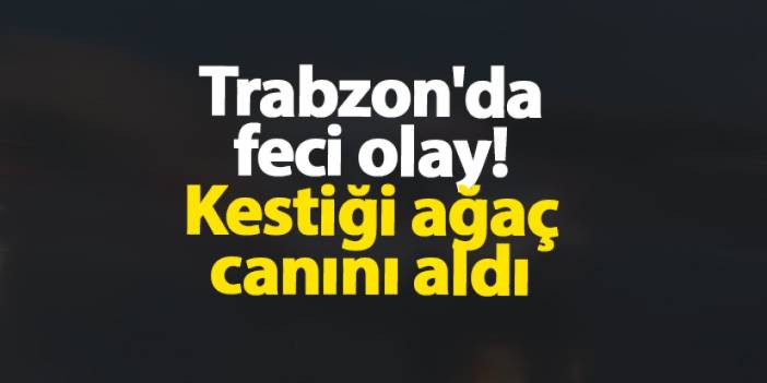 Trabzon'da feci olay! Kestiği ağaç canını aldı