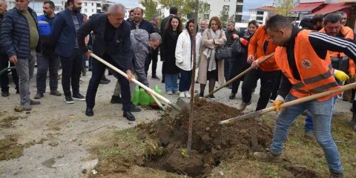 Samsun Atakum yeşillendi!